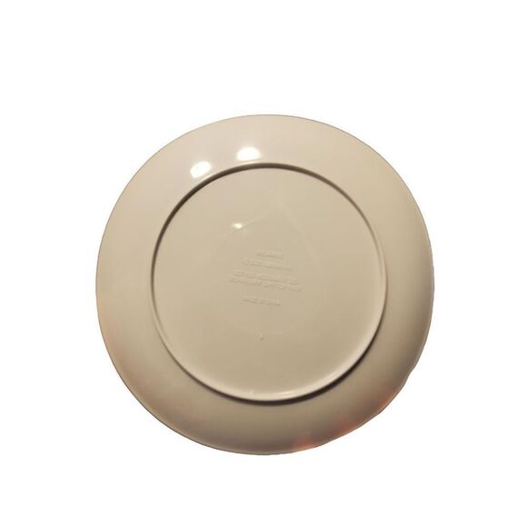 2001 Nabisco Melamine Barnums Animals 100 th Anniversary Plate.   J3 - Picture 2 of 2